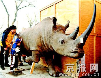 第三批非洲特有动物标本抵北京自然博物馆(图