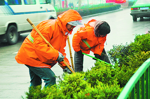 冒雨清除绿化带垃圾(图)