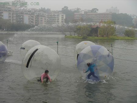 昨天,福州西湖公园举办首届水上步行球比赛,而这是该水国内新闻 正文