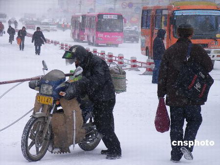 东北三省出现中到大雪局部地区有暴雪(组图)