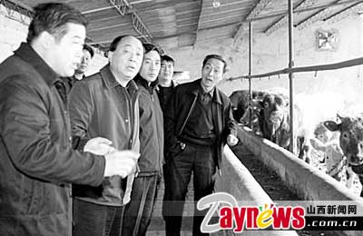 新绛县农村信用联社为发展畜牧业提供资金保障