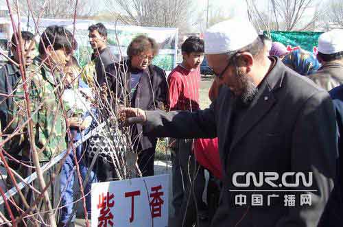 伊犁州直农村人口_伊犁州地图