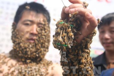 养蜂人与14万蜜蜂亲密接触
