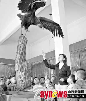垣曲县自然博物馆设立野生鸟类标本展厅(图)