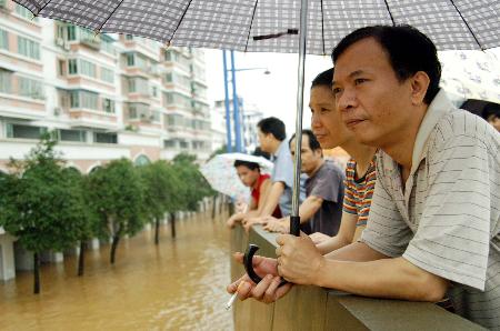 图文:(2)西江洪水淹进广西梧州河东城区