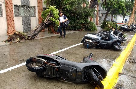 图文:台北街头台风刮倒树木和摩托车