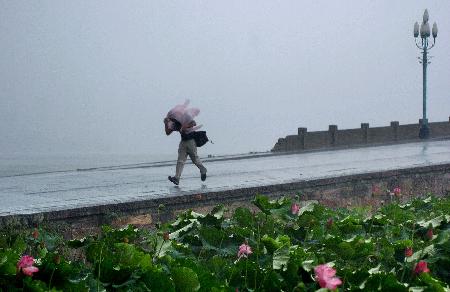 图文:暴风雨降临杭州一位行人的雨衣被吹翻