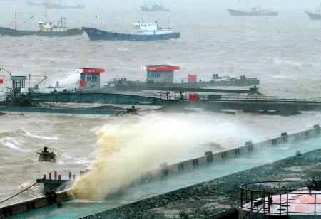 图文:台风麦莎考验石浦港