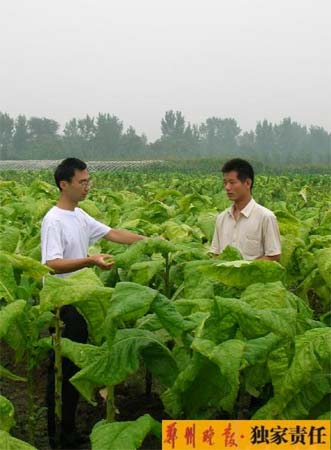 河南教师陪大学生下乡 挂职副县长带动科技富