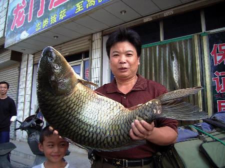 图文:河南武陟居民钓上13.1公斤重的黄河大鲤