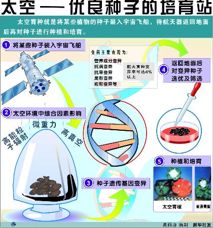 图表太空优良种子的培育站