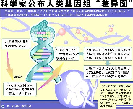 图文:图表:(科技)科学家公布人类基因组差异图