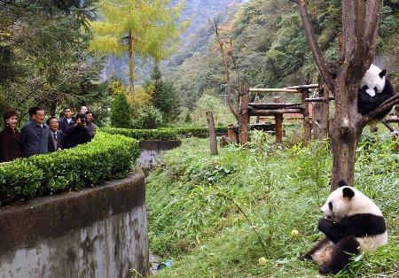 中国国民党荣誉主席连战一行参观四川卧龙大熊猫自然保护区