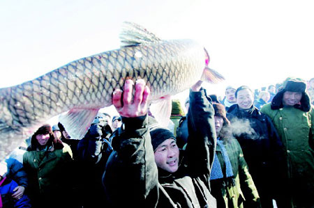 吉林查干湖捕鱼大丰收最大鱼拍出2099元(组图)