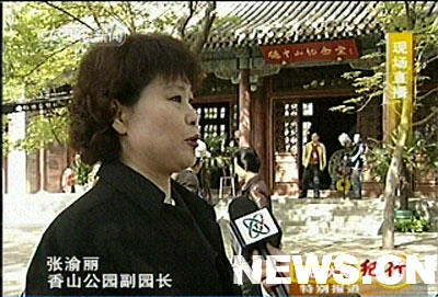 图文：北京香山公园副园长张渝丽接受采访
