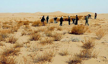 组图:沙尘发源地阿拉善遭遇罕见旱灾