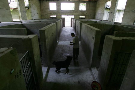 图文:重庆纯种藏獒养殖基地干净整洁的犬舍