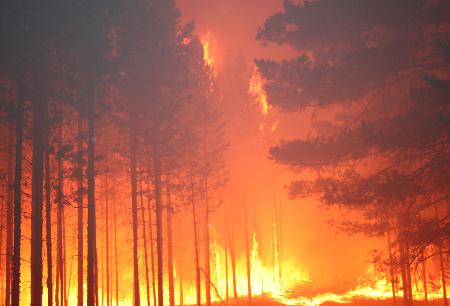 组图:内蒙古呼伦贝尔发生森林火灾