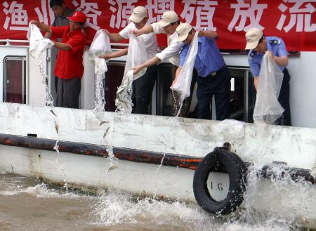 图文:泰州举行长江渔业资源增殖放流活动(2)
