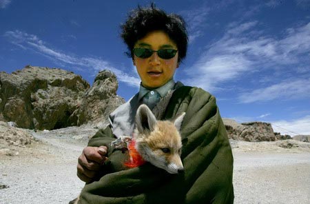图文:怀抱牧羊犬的藏族人