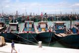 组图：福建泉州渔船回港躲避台风碧利斯