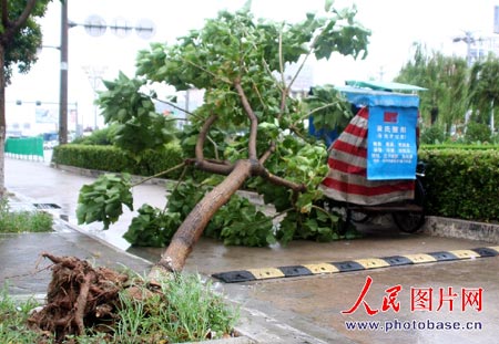 组图:台风格美在福建泉州登陆