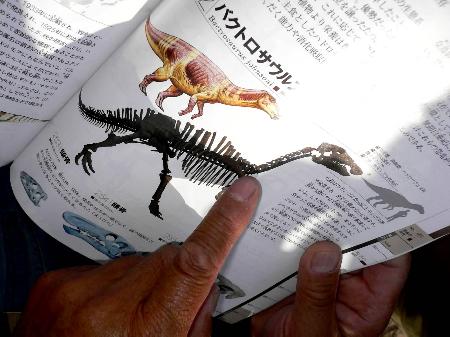 图文:内蒙古二连盆地发现大型恐龙化石群(3)