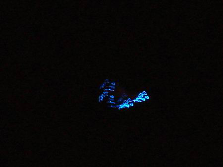 上海夜空出现不明飞行物呈V字形会变色(组图)