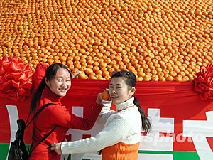 图:中国柑桔之乡举办柑桔文化节