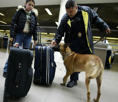图:洛杉矶国际机场加强安检 警犬也出动