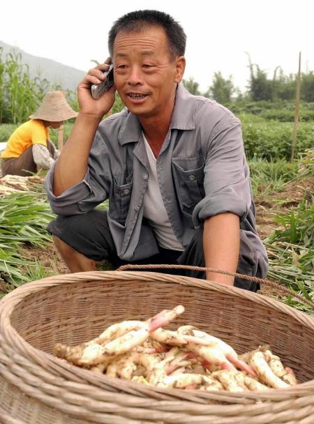 收入证明范本_工资收入证明模板_增加农民收入的意义