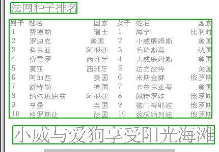 法国网球公开赛公布种子选手排名(图)