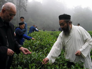 青城山再现"青城道茶(图)