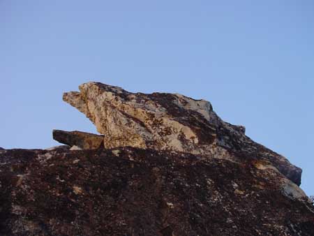 组图佛祖故乡行佛教圣地西天灵鹫山