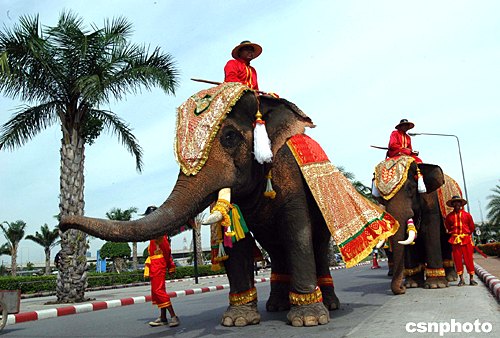 图:泰国大象迎接世界艾滋病大会嘉宾