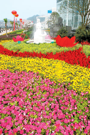 花好月圆组图