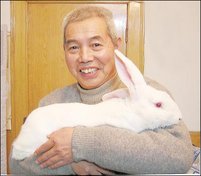 可爱宠物兔每天叫醒主人(图)