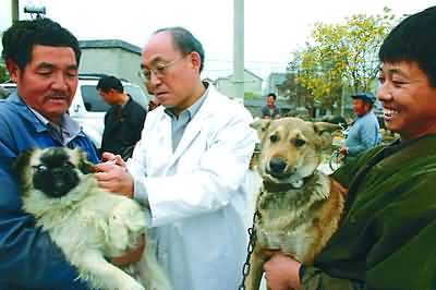 注射狂犬疫苗(图)