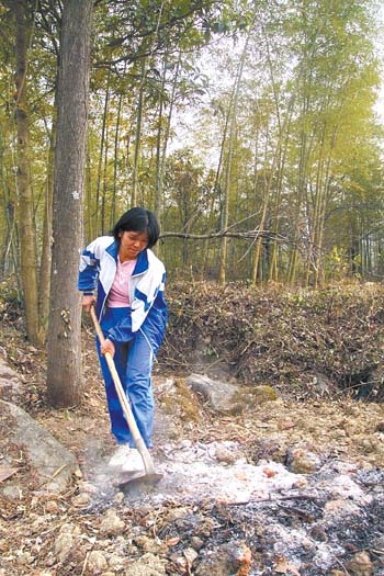 粤北山区大龄小学生之访谈篇 珠三角进入知识