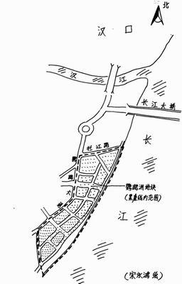 5亿元竞得鹦鹉洲 创全国"地王(图)