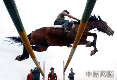 北京赛马俱乐部赛马腾空跳跃障碍(图)