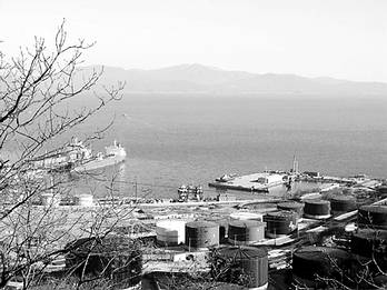 1114154102_X.aatv.jpg