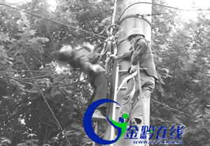 高压线上挂了个人 维修工带电作业触电身亡(
