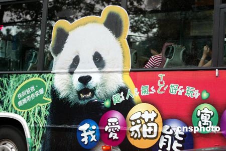 图：“大熊猫”走上台北街头
