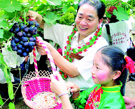 江心洲迎来葡萄节组图