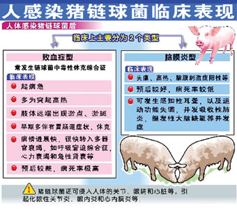 江苏部署防控人感染猪链球菌病工作(组图)
