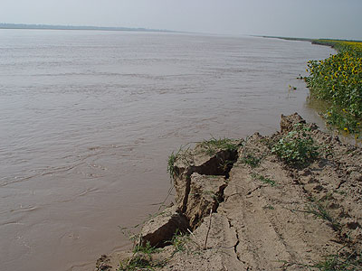 黄河内蒙古阿左旗段沿边河滩地淘地200多亩(组