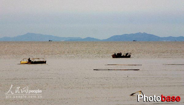 西墅海鲜_海鲜图片大全_海鲜疙瘩汤