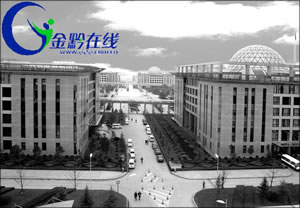 金阳新城人口_金阳客车站图片
