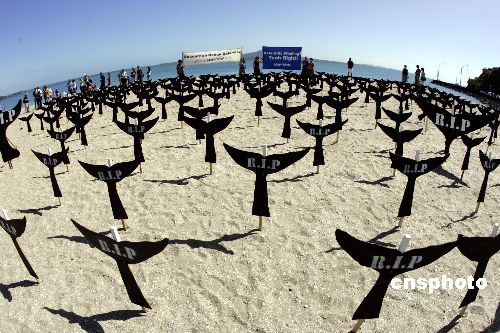 图:绿色和平组织奥克兰海滩抗议日本捕杀鲸鱼
